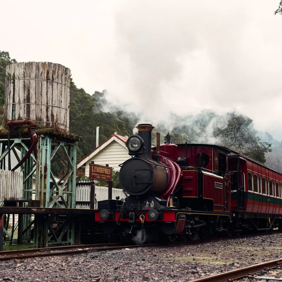 West Coast Wilderness Railway steam train beside the Lynchford water tower
